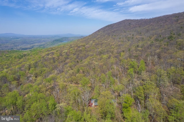 property view of mountains featuring a forest view