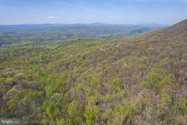 view of mountain feature with a forest view