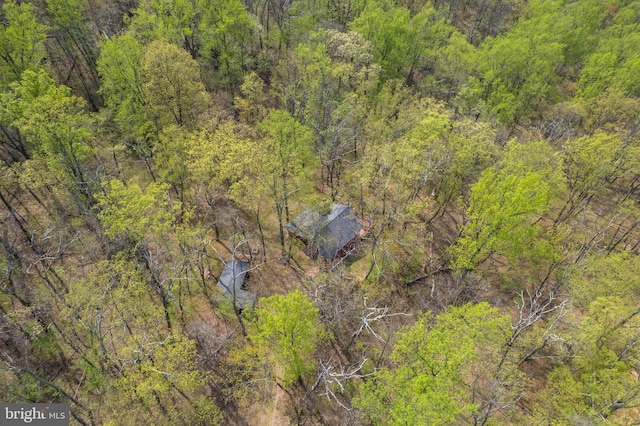 bird's eye view featuring a forest view