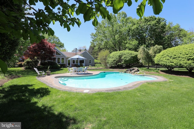 1701 Holicong Rd, New Hope, PA 18938 - outdoor pool featuring a yard and a patio