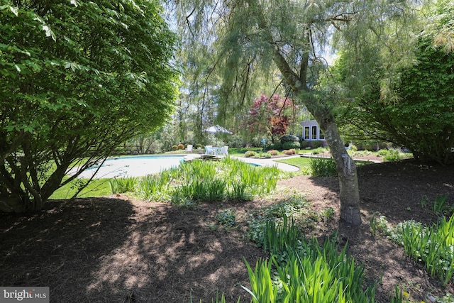 1701 Holicong Rd, New Hope, PA 18938 - view of yard featuring an outdoor pool
