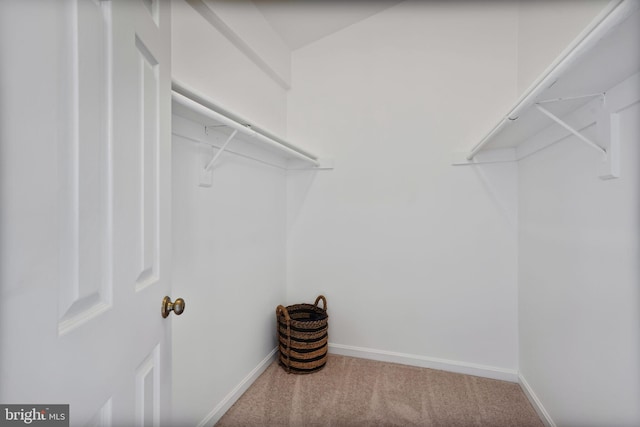 4223 N Carlin Springs Rd, Arlington, VA 22203 - spacious closet featuring carpet floors