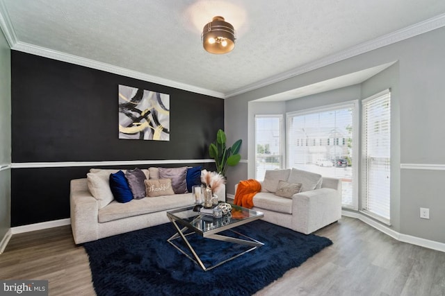 330 Timberbrook Ct, Odenton, MD 21113 - living area featuring wood finished floors, healthy amount of natural light, ornamental molding, and a textured ceiling
