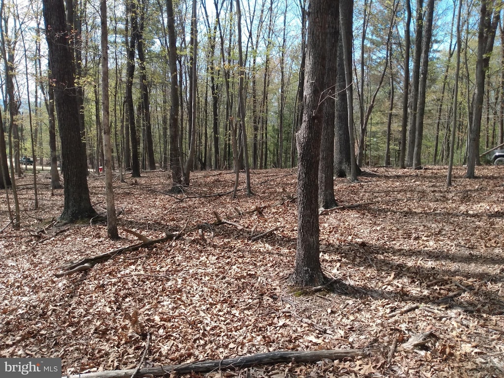 LOT50 Birch Grove Ln, Berkeley Springs, WV 25411