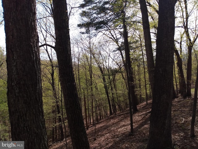 LOT50 Birch Grove Ln, Berkeley Springs, WV 25411