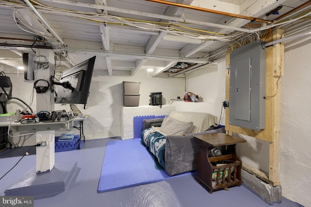 unfinished below grade area featuring electric panel