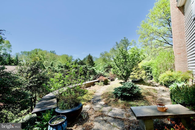 view of yard