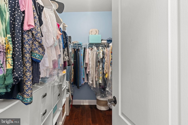 walk in closet featuring wood finished floors