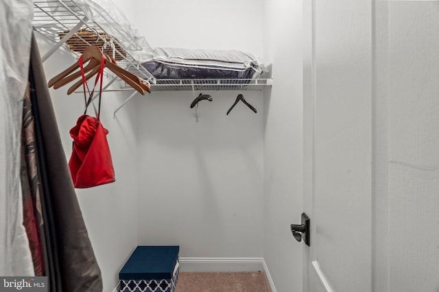 spacious closet with carpet floors