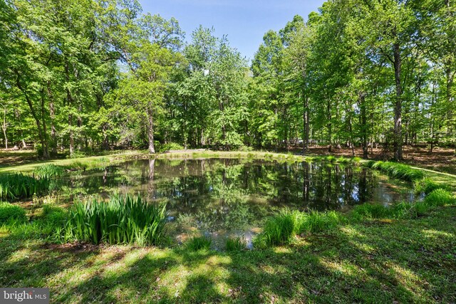 view of local wilderness with a water view and a wooded view