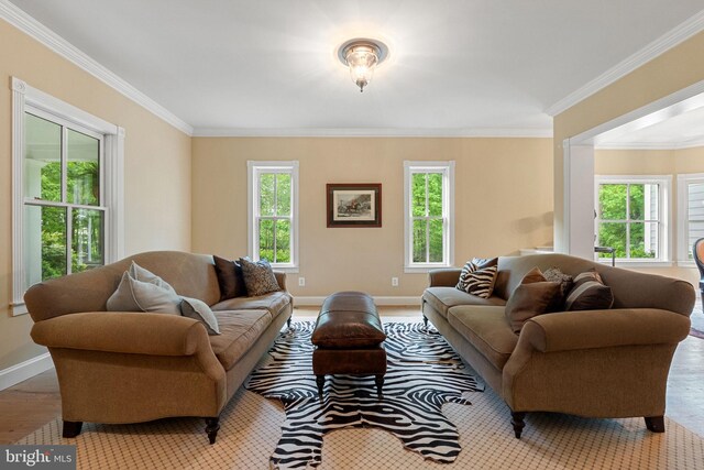 living area with crown molding, baseboards, and wood finished floors
