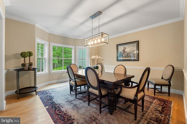 dining room featuring crown molding, baseboards, and light wood-type flooring