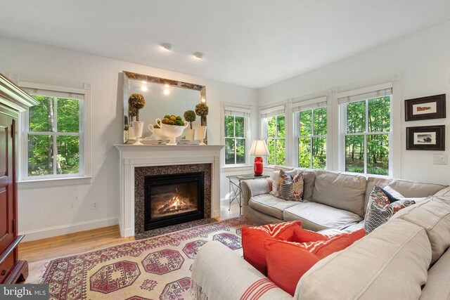 living room featuring baseboards, wood finished floors, and a fireplace