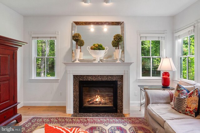 living area with baseboards, wood finished floors, and a high end fireplace