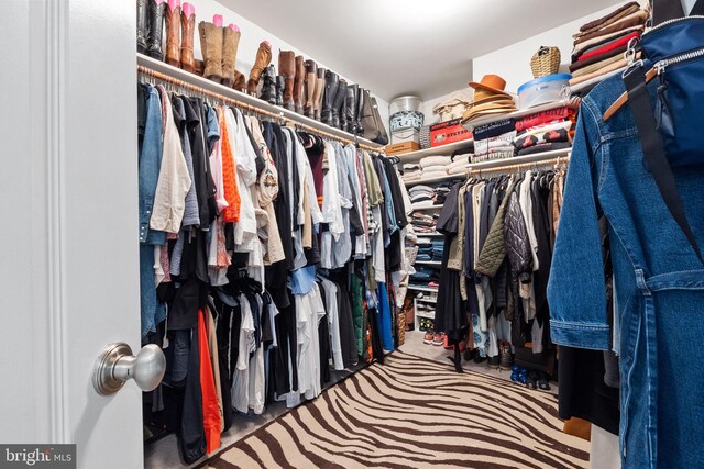 spacious closet with carpet flooring