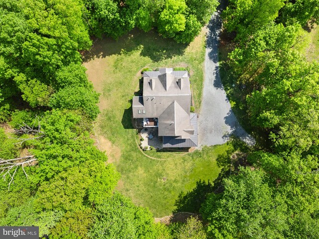 bird's eye view