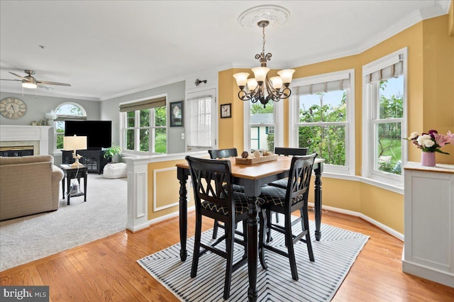 dining area with a chandelier, ornamental molding, light wood-style floors, ceiling fan, and a high end fireplace