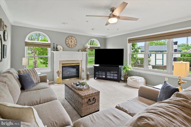 living room featuring carpet, healthy amount of natural light, a premium fireplace, ceiling fan, and ornamental molding