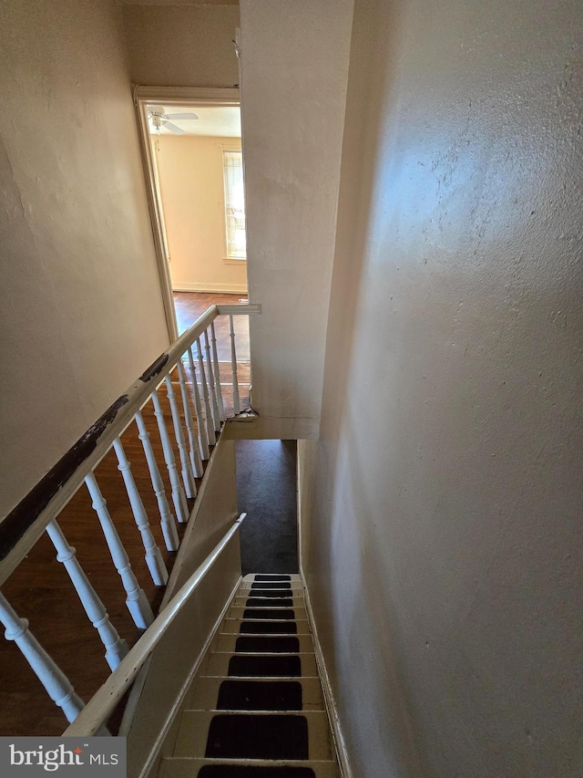 5133 Reno St, Philadelphia, PA 19139 - view of stairs