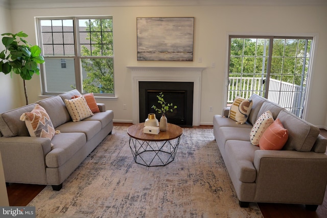2725 Shelburne Rd, Downingtown, PA 19335 - living area featuring baseboards, wood finished floors, and a fireplace
