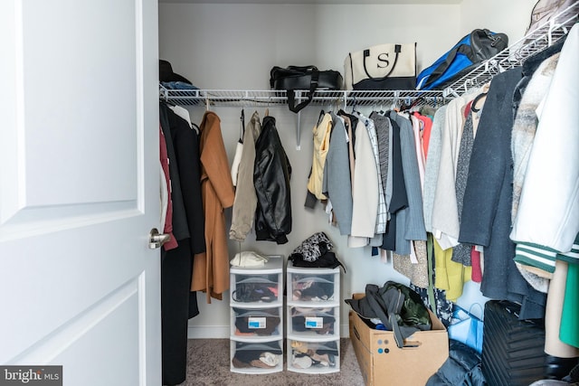 spacious closet featuring carpet