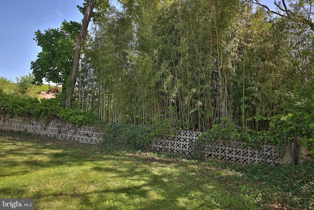 view of yard with fence