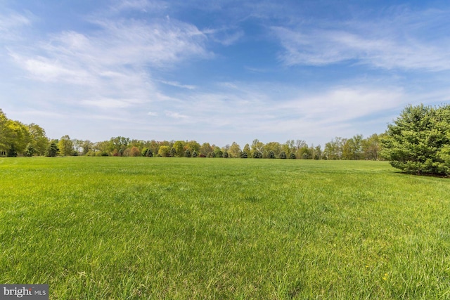 view of yard featuring a rural view