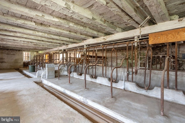 view of horse barn
