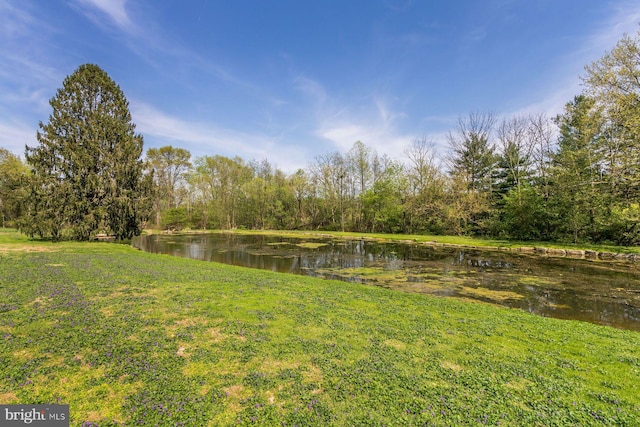 view of yard featuring a water view