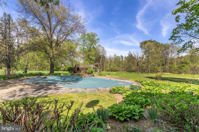 view of pool featuring a lawn and a covered pool