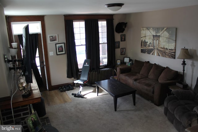 view of carpeted living room