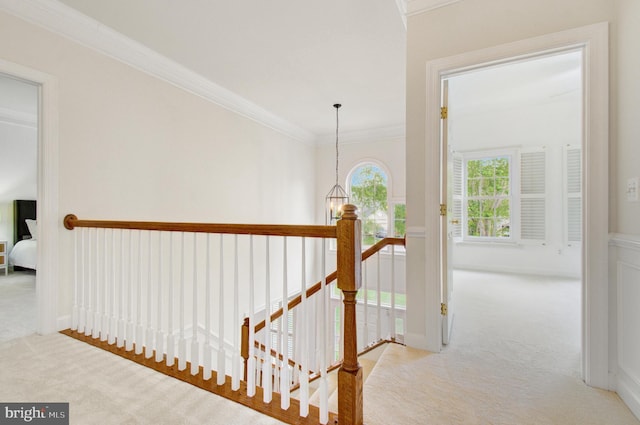 7820 Elsinore Dr, Manassas, VA 20112 - corridor featuring carpet floors, crown molding, and an upstairs landing