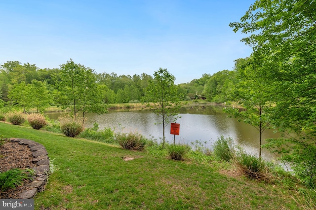7820 Elsinore Dr, Manassas, VA 20112 - view of water feature