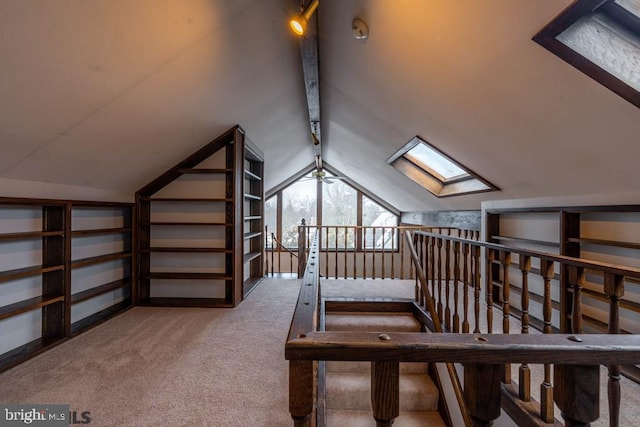 bonus room featuring carpet and vaulted ceiling with skylight