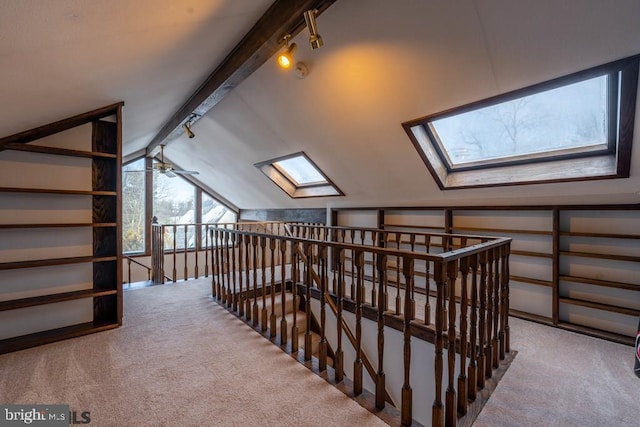 bonus room with vaulted ceiling with skylight, carpet flooring, and ceiling fan