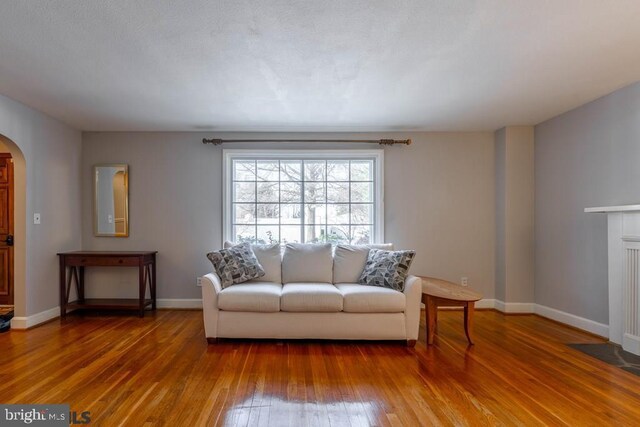 living room featuring arched walkways, wood-type flooring, baseboards, and a fireplace with flush hearth