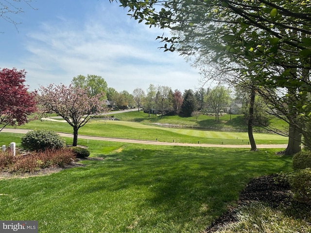 surrounding community featuring a lawn
