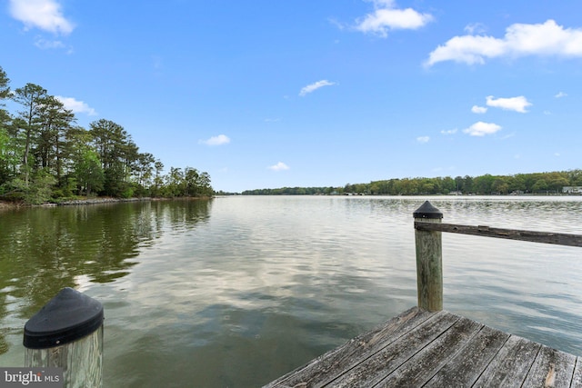 dock area featuring a water view