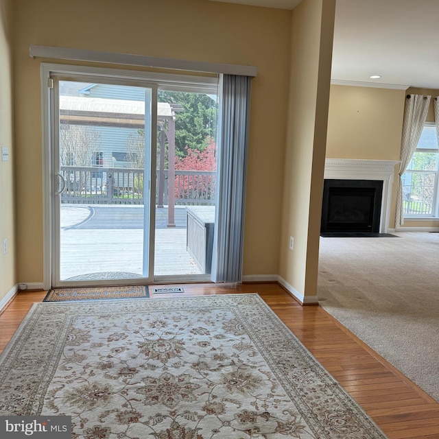 103 Claude Ct SE, Leesburg, VA 20175 - doorway to outside featuring a fireplace with flush hearth, baseboards, wood finished floors, and carpet