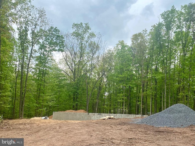 254 Green Oak Ln, Berkeley Springs, WV 25411 - view of wooded area