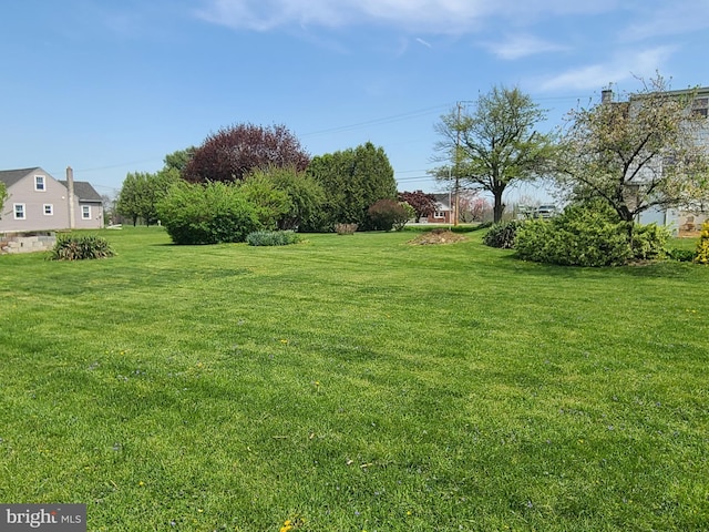 view of yard