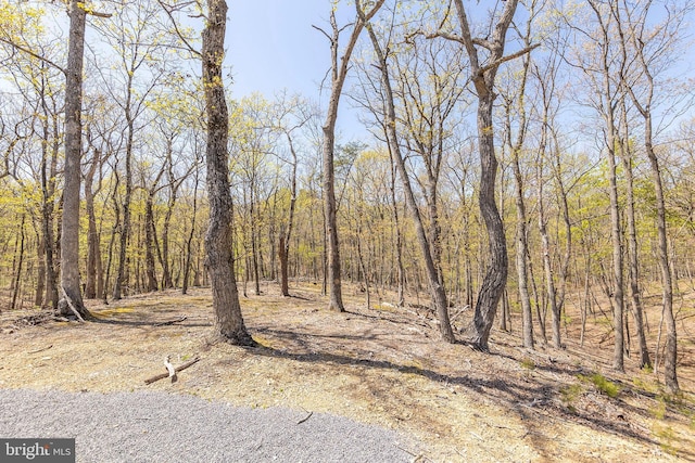 275 Oak Forest Ln, Berkeley Springs, WV 25411 - view of landscape with a view of trees