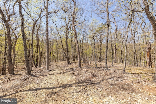 275 Oak Forest Ln, Berkeley Springs, WV 25411 - view of local wilderness featuring a view of trees