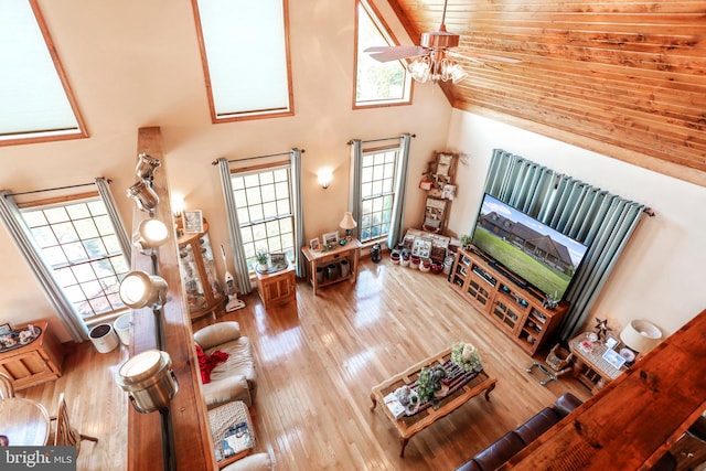 living room with a ceiling fan, a towering ceiling, and wood finished floors
