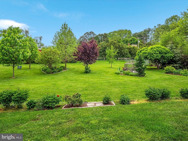 view of yard