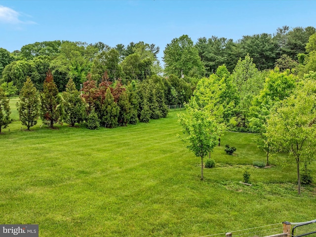 view of yard