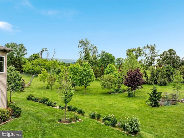 view of yard