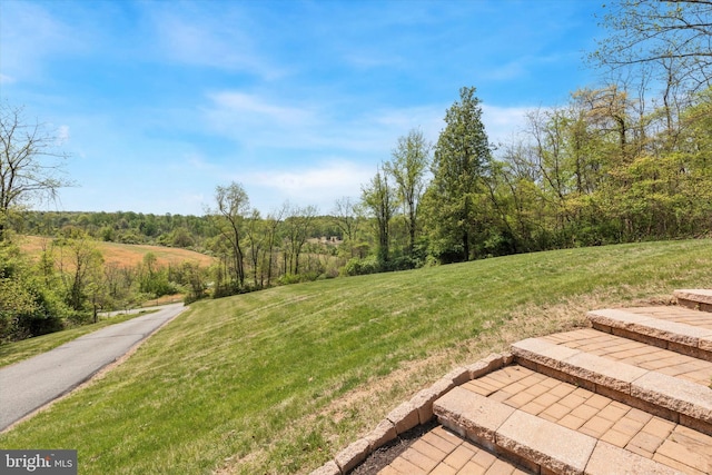 93 Shady Ln, Boyertown, PA 19512 - view of yard with a forest view