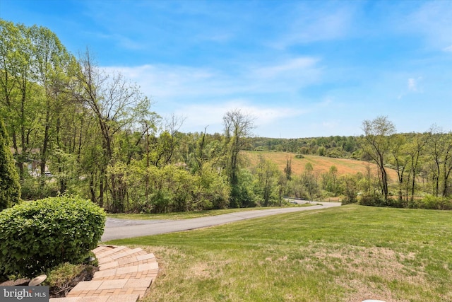 93 Shady Ln, Boyertown, PA 19512 - view of yard featuring a forest view