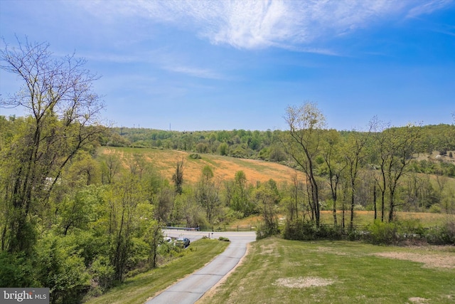 93 Shady Ln, Boyertown, PA 19512 - exterior space featuring a view of trees